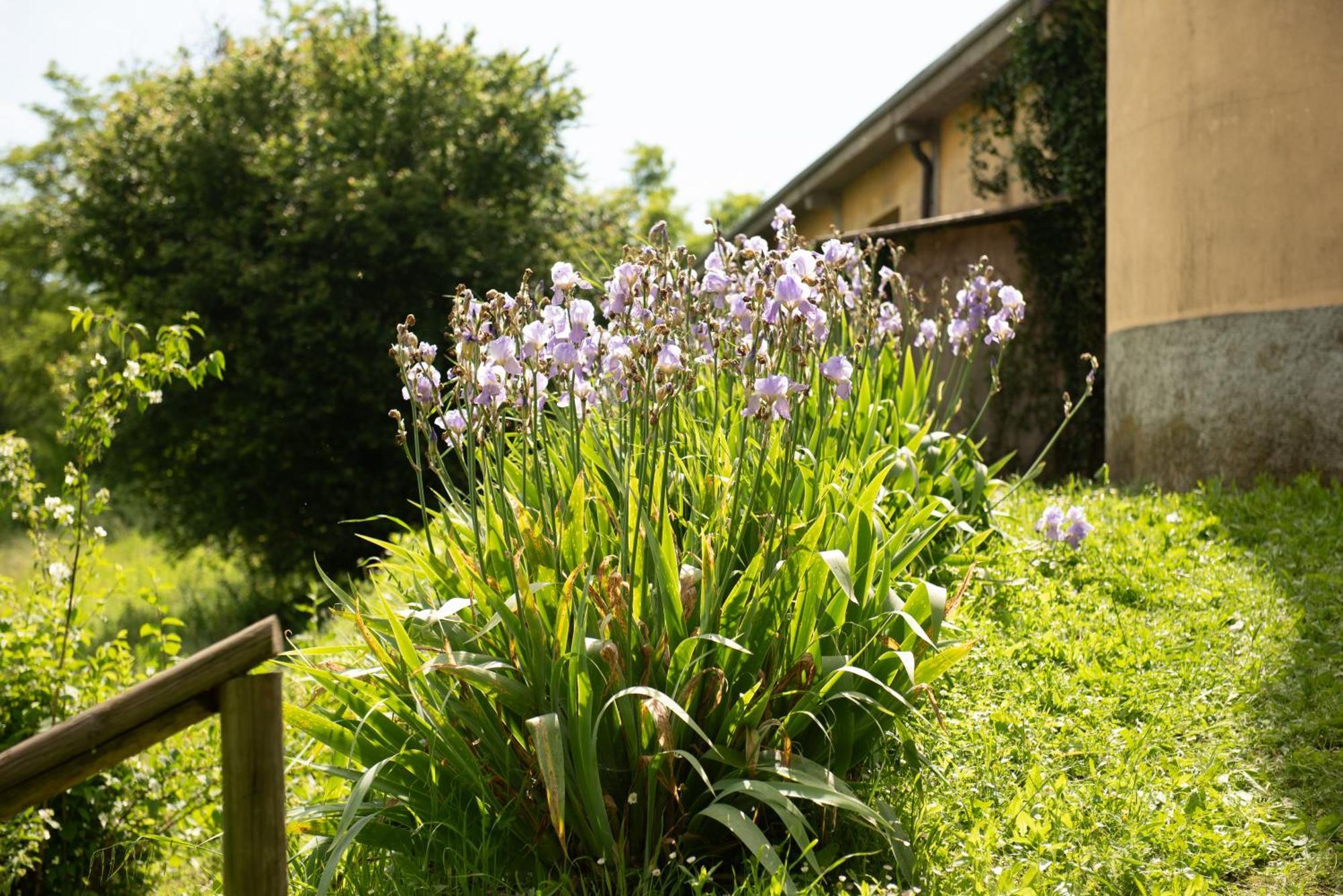Country House Cascina Orto Pasturana 外观 照片