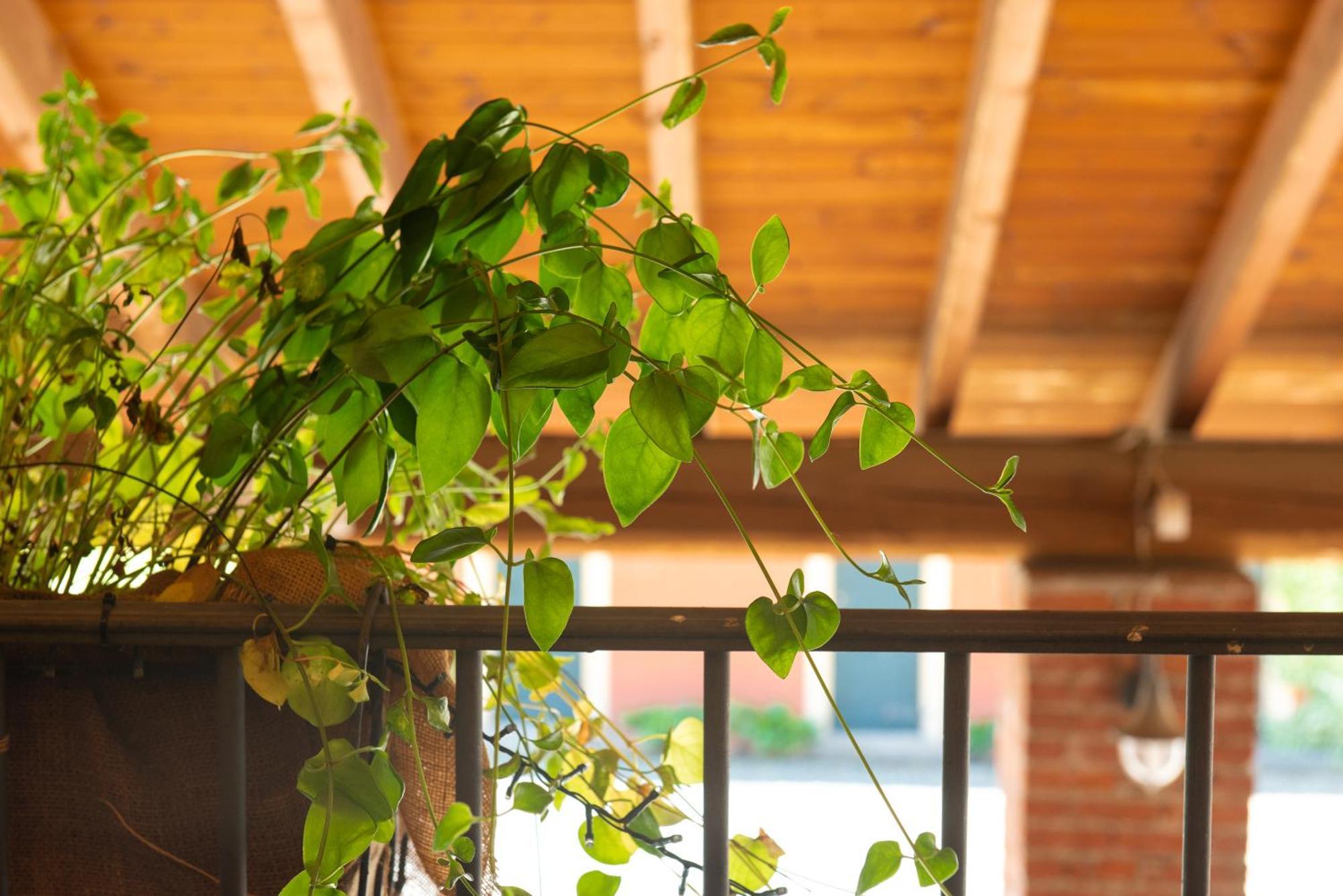 Country House Cascina Orto Pasturana 外观 照片